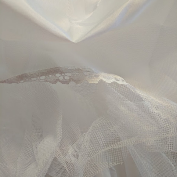Slip/Crinoline - Picture 5 of 6